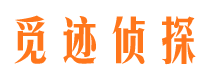 龙海侦探公司